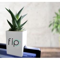 Pot ordi plante dépolluante
