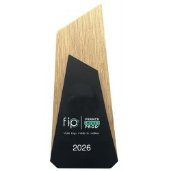 Trophée en bois bi matière